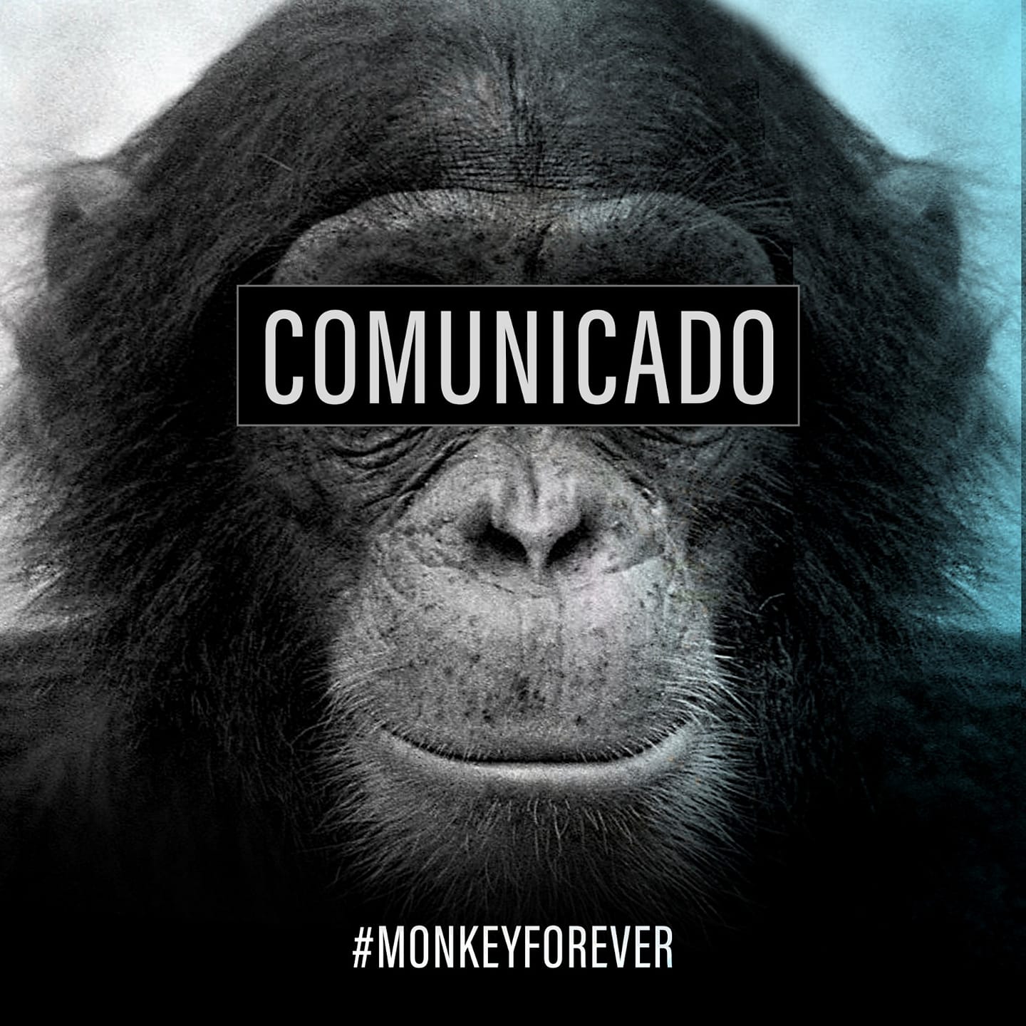 Comunicado sobre el cierre Cautelar de Monkey Beach Club