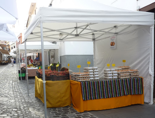 Vuelven los Mercadillos al Sur de Tenerife. A partir del 01 de agosto. Información del asociado «Mercadillos Los Verdes»