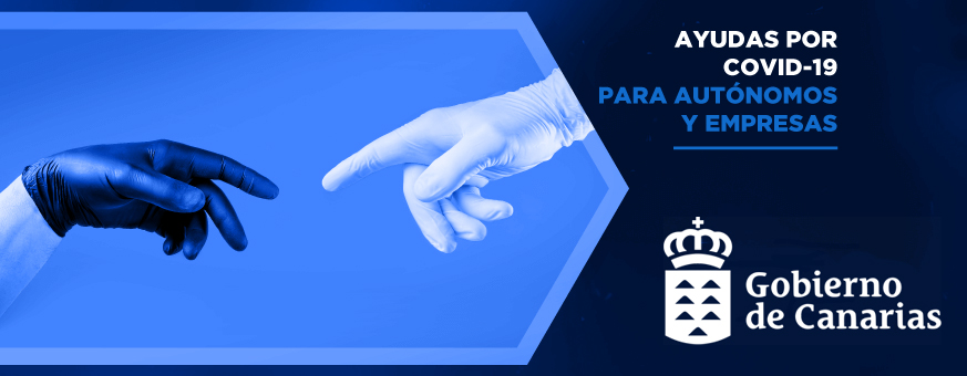 Subvenciones del Gobierno de Canarias dirigidas al mantenimiento de la actividad económica de personas trabajadoras autónomas y pequeñas y medianas empresas en los sectores más afectados por la crisis derivada de la expansión de la COVID-19. Información del Assesor Cabrera Rodriguez.