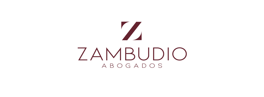 ZAMBUDIO ABOGADOS. Asesoramiento en Contratación Pública. Dña. Matilde Zambudio, abogada.