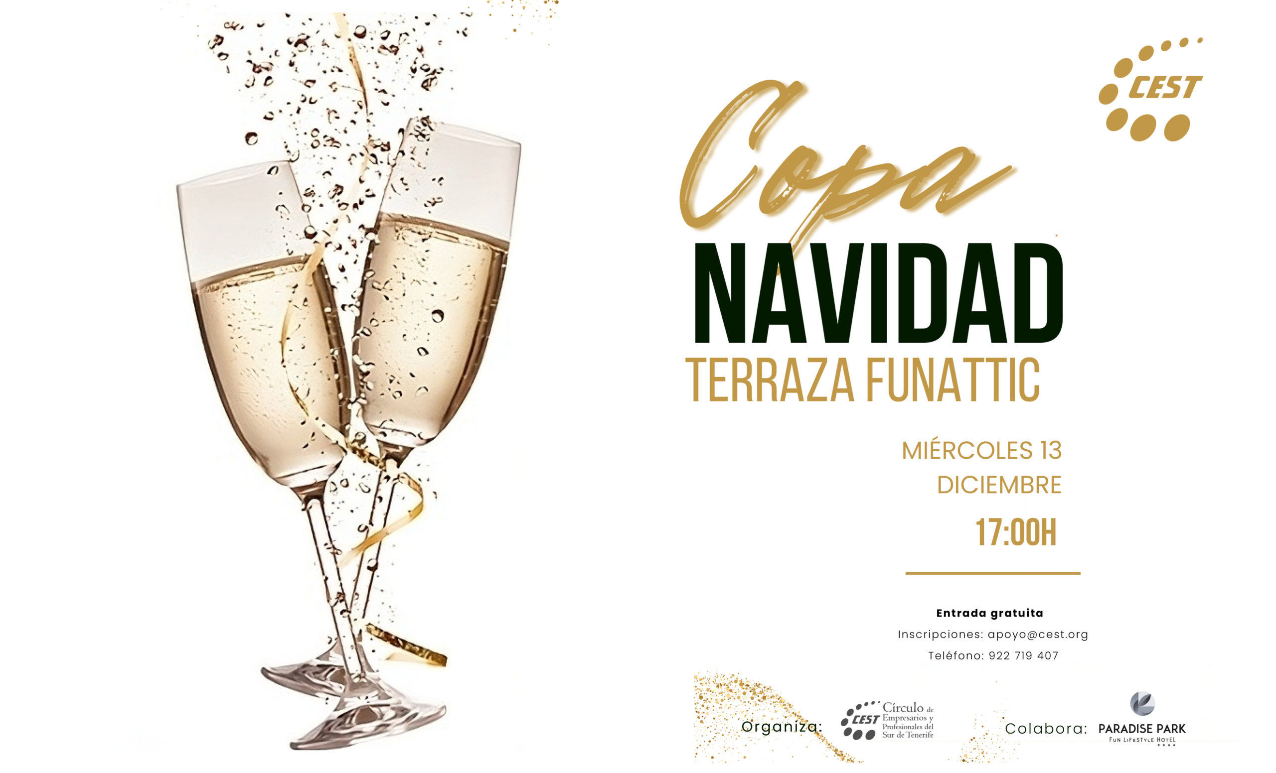 Meeting Navidad de los asociados del CEST. El 13 de diciembre en el Hotel Paradise Park de Los Cristianos. Inscripción gratuita por email a apoyo@cest.akrolihonline.com.