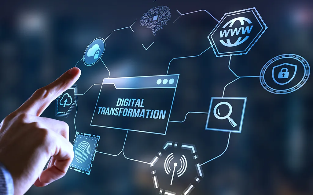 El Círculo de Empresarios y Profesionales del Sur de Tenerife desarrolla un proyecto para fomentar el crecimiento de los comercios de la comarca hacia la transformación digital. Consulta todos los datos sobre la iniciativa y anímate a participar.